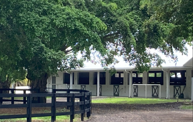 7.5 Acre Travieso Polo Farm, South Forty Polo Club, Wellington, Florida