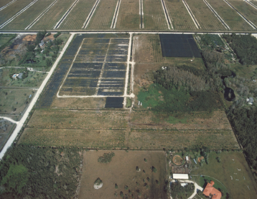 Agricultural Land-Wellington-Florida